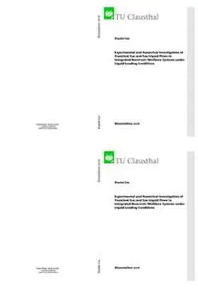 Liu |  Experimental and Numerical Investigation of Transient Gas and Gas-Liquid Flows in Integrated Reservoir/Wellbore Systems under Liquid Loading Conditions | Buch |  Sack Fachmedien