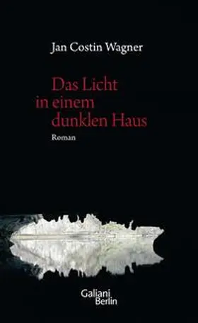 Wagner |  Das Licht in einem dunklen Haus | Buch |  Sack Fachmedien
