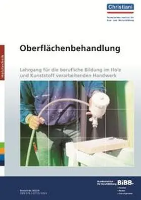 Menschel / Domann |  Oberflächenbehandlung | Loseblattwerk |  Sack Fachmedien