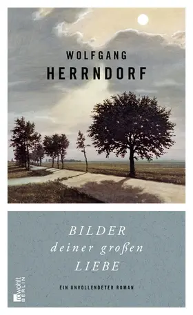 Herrndorf |  Bilder deiner großen Liebe | Buch |  Sack Fachmedien