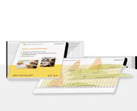 Kulzer / Hermanns / Maier |  Medias 2 Basis , IC, ICT Insulinschalonenset | Buch |  Sack Fachmedien