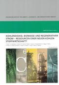 Marzi / Deerberg / Doetsch |  Kohlendioxid, Biomasse und Regenerativer Strom - Ressourcen einer neuen Kohlenstoffwirtschaft | Buch |  Sack Fachmedien