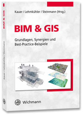 Kauer / Lehmkühler / Steinmann | BIM & GIS | Buch | 978-3-87907-674-1 | sack.de