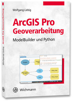 Liebig | ArcGIS Pro Geoverarbeitung | Buch | sack.de