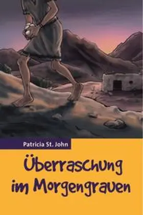 St. John |  Überraschung im Morgengrauen | Buch |  Sack Fachmedien