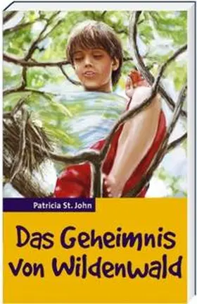 St. John |  Das Geheimnis von Wildenwald | Buch |  Sack Fachmedien