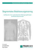 Schröder / Faerber |  Segmentales Stabilisierungstraining als Baustein einer evidenzbasierten Bewegungstherapie bei Rückenbeschwerden | Buch |  Sack Fachmedien