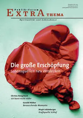 Hofmeister / Hengsbach / Morgenroth |  Die große Erschöpfung | Buch |  Sack Fachmedien