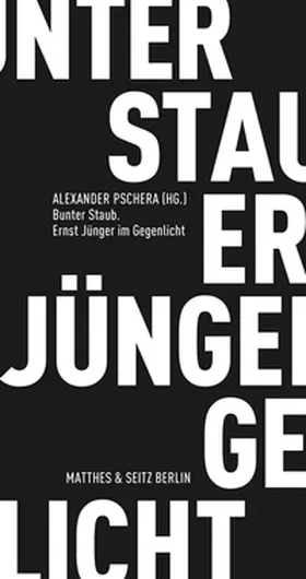 Pschera |  Bunter Staub | Buch |  Sack Fachmedien