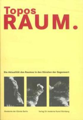 Lammert / Diers / Kudielka | Topos Rau. Die Aktualität des Raumes in den Künsten der Gegenwart | Buch | 978-3-88331-208-8 | sack.de