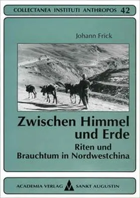 Frick |  Zwischen Himmel und Erde | Buch |  Sack Fachmedien