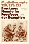 Tadday / Metzger / Riehn |  Bruckners Neunte im Fegefeuer der Rezeption | Buch |  Sack Fachmedien