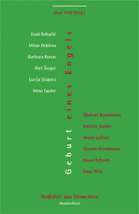 Babacic / Thill / Dekleva |  Geburt eines Engels | Buch |  Sack Fachmedien