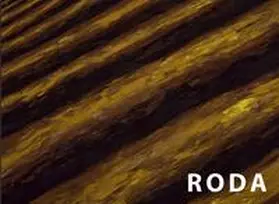 Roda / Bopp-Schumacher / Dietzsch |  Der Maler. 40 Jahre Kunst. Einblicke | Buch |  Sack Fachmedien
