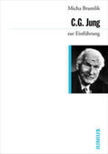 Brumlik |  C. G. Jung zur Einführung | Buch |  Sack Fachmedien