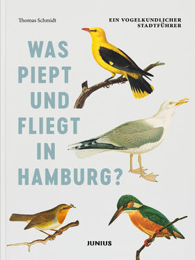 Schmidt | Was piept und fliegt in Hamburg? | Buch | 978-3-88506-779-5 | sack.de
