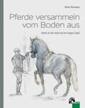 Schnitzer |  Pferde versammeln vom Boden aus | Buch |  Sack Fachmedien