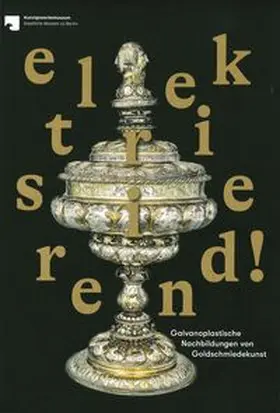 Bornkessel / Kanowski |  Elektrisierend! | Buch |  Sack Fachmedien
