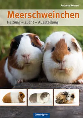 Reinert |  Meerschweinchen | Buch |  Sack Fachmedien