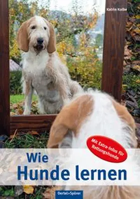 Kolbe |  Wie Hunde lernen | Buch |  Sack Fachmedien
