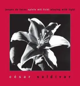 Saldívar / Weiermair |  Juegos de luces - Spiele mit Licht | Buch |  Sack Fachmedien