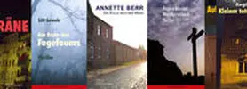 Berr / Leweir / Nössler |  Grosses Thrillerreihen-Paket | Buch |  Sack Fachmedien