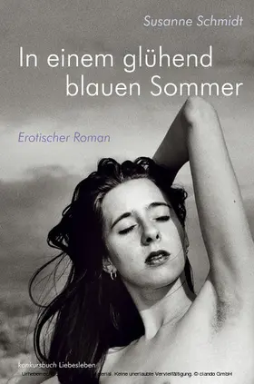 Schmidt |  In einem glühend blauen Sommer | eBook | Sack Fachmedien
