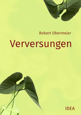 Obermeier |  Verversungen | Buch |  Sack Fachmedien