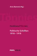 Bammé / Tönnies |  Ferdinand Tönnies: Politische Schriften 1916¿¿¿1 | Buch |  Sack Fachmedien