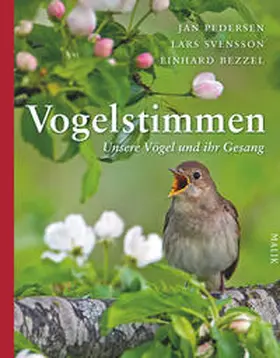 Pedersen / Svensson / Bezzel |  Vogelstimmen | Buch |  Sack Fachmedien