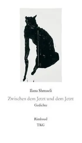 Shmueli |  Zwischen dem Jetzt und dem Jetzt | Buch |  Sack Fachmedien