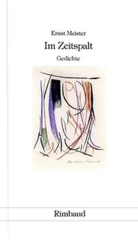 Meister / Kiefer |  Gedichte in 15 Bänden / Im Zeitspalt | Buch |  Sack Fachmedien