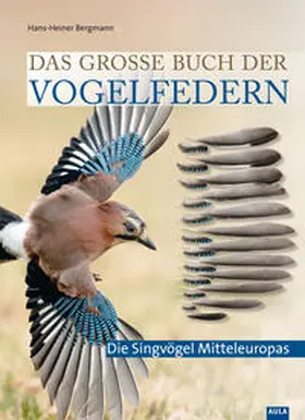 Bergmann |  Das große Buch der Vogelfedern | Buch |  Sack Fachmedien