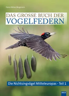 Bergmann |  Das große Buch der Vogelfedern | Buch |  Sack Fachmedien
