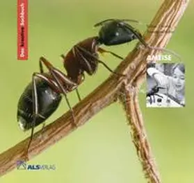 Latorre / Naber / Kreide |  Das kreative Sachbuch "Ameise" | Buch |  Sack Fachmedien