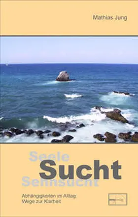 Jung |  Seele, Sucht, Sehnsucht | Buch |  Sack Fachmedien