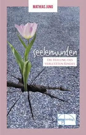 Jung |  Seelenwunden | Buch |  Sack Fachmedien