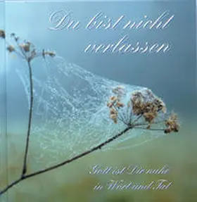 Gabriele |  Du bist nicht verlassen | Buch |  Sack Fachmedien