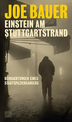 Bauer |  Einstein am Stuttgartstrand | Buch |  Sack Fachmedien