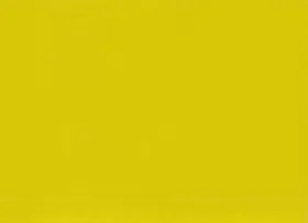 Meschede |  Carolus Enckell | Buch |  Sack Fachmedien