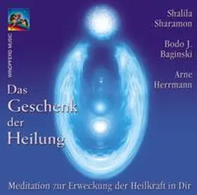  Das Geschenk der Heilung | Sonstiges |  Sack Fachmedien