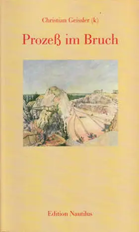 Geissler |  Prozeß im Bruch | Buch |  Sack Fachmedien