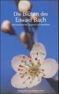 Maier |  Die Blüten des Edward Bach | Buch |  Sack Fachmedien