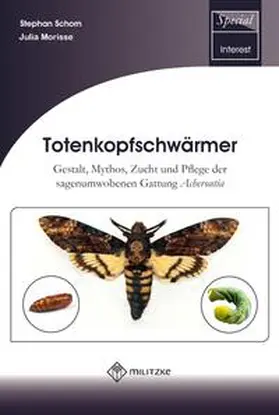 Schorn / Morisse |  Totenkopfschwärmer | Buch |  Sack Fachmedien