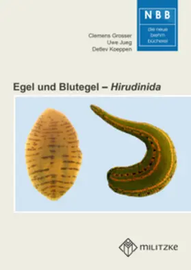 Grosser / Jueg / Koeppen |  Egel und Blutegel | Buch |  Sack Fachmedien