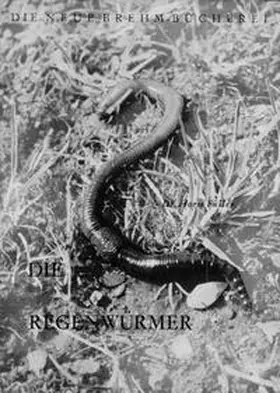 Füller |  Die Regenwürmer | Buch |  Sack Fachmedien