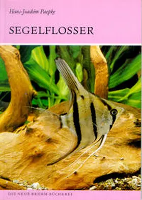 Paepke |  Die Segelflosser | Buch |  Sack Fachmedien