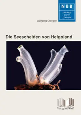 Groepler |  Die Seescheiden von Helgoland | Buch |  Sack Fachmedien
