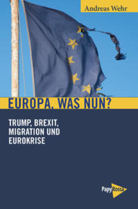 Wehr |  Europa, was nun? | Buch |  Sack Fachmedien