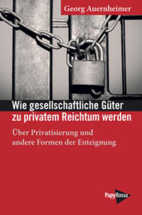Auernheimer |  Wie gesellschaftliche Güter zu privatem Reichtum werden | Buch |  Sack Fachmedien